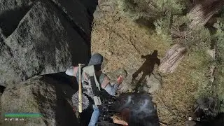 DAYS GONE Flying Deek