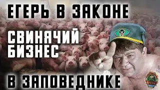 Тамань. Егерь в законе. Скотоферма в заповеднике.