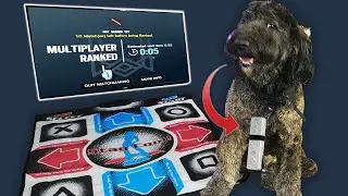I Taught My Dog to Play Ranked R6