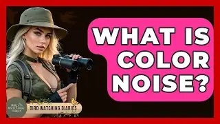 What Is Color Noise? - Bird Watching Diaries