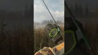 Охота на утку с Собакой! 