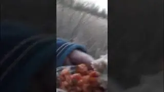 Санбой ест кюш-баран на природе 