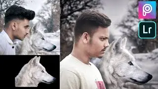 Wolf manipulation in PicsArt & Lightroom cc by GC