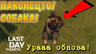 Обнова с собакой! Дождались)