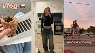 vlog🇨🇿 теперь учусь в Чехии? как проходят мои учебные будни