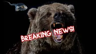 (591) Breaking News!