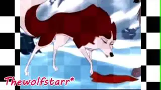Animash Flesh