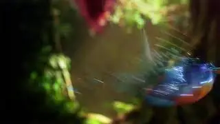 StreamVi.ru live stream