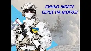 Синьо-жовте серце на морозі