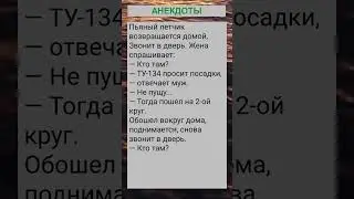 Пьяный летчик возвращается домой... 