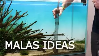 Errores que parecen buenas ideas para tu Acuario