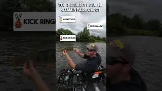 les 3 meilleurs leurres pour attraper du poisson