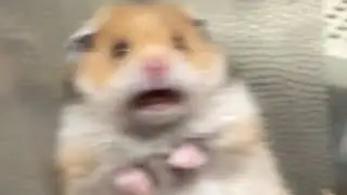 Perfectly cut scream #6