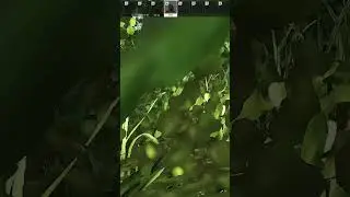 First Shoreline raid loool 