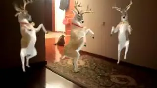 Ррь