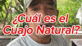 ¿CUÁL ES EL CUAJO NATURAL?