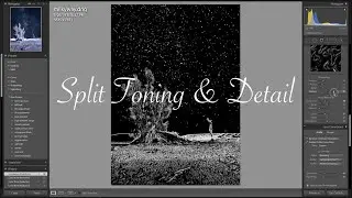 Lightroom Split Toning & Detail (آموزش لایت روم)