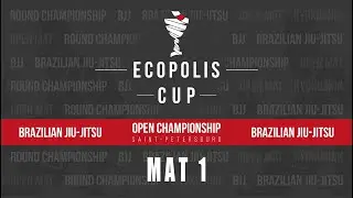 МАТ 1 - BJJ - Дети ЭКСПЕРТЫ (От Серо-черных поясов)