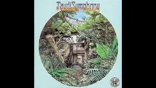 TaudiSymphony - T.O.D.I.