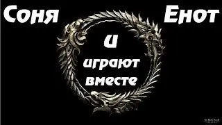 Соня и Енот играют в TES-Online