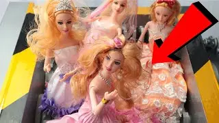 Doll shredder crushing stage model
