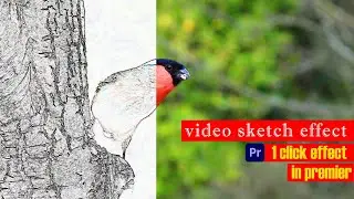create CARTOON EFFECT in videos |Premiere Pro