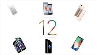 Should the iPhone 5s Receive iOS 12?