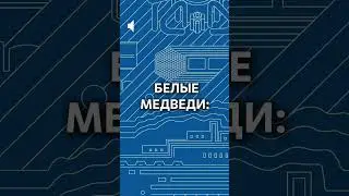 Здравствуйте, атомный ледокол!#медведь #белыймедведь #арктика