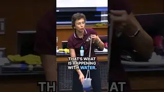 Water defies gravity. But how?! 💧👍 #shorts #DrTatiana #science