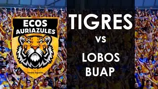 Ecos Auriazules | Invasión Puebla 2019