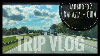 VLOG 
