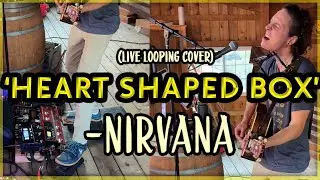 Nirvana - Heart Shaped Box (Live Looping Acoustic Cover) - Brent Brown