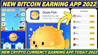 5 Dodo Fish Tips To Earn Shib Fast - Ganito Ang Gawin Niyo