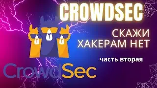 Настройка Crowdsec Bouncer Traefik Plugin