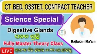 CT/ BED/ OSSTET/CONTRACT TEACHER Exam 2021 | Digestive Glands Complete Theory Class By Rajlaxmi Mam