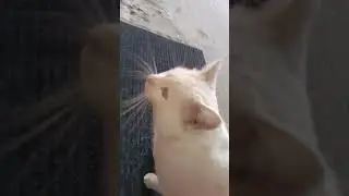 #рекомендации