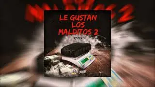 Le Gustan Los Malditos Remix - Tomy DJ