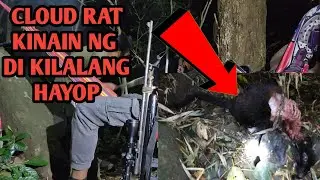 2 DAYS HUNTING/ KAWAWANG DAGANG BUOT KINAIN NG DI KILALANG HAYOP