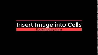 Insert Image into Cells