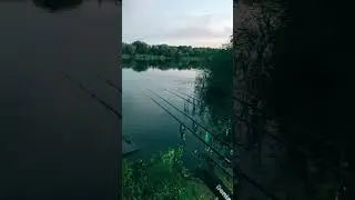 Летний и рыбацкий вейб