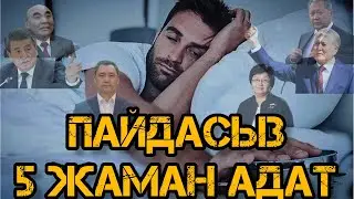 Пайдасыз 5 жаман адат