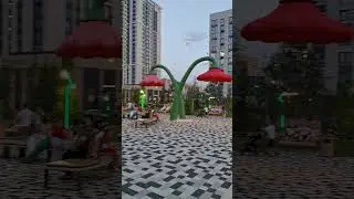 13 июня 2024 г.