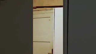 28 октября 2023 г.