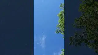 5 июня 2024 г.