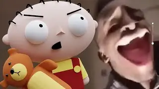 My Reaction to that information meme - Stewie and Brian React