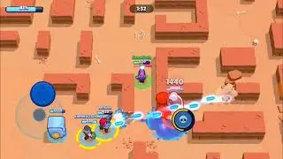 SHELLY survive 