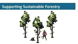 Interface | Supporting Sustainable Forestry