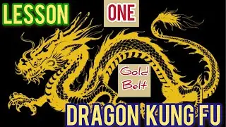 dragon kung fu for beginners with unique way / full body workout while learning dragon kung fu