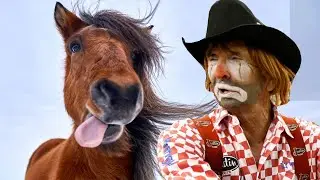 SEX WITH A RODEO CLOWN