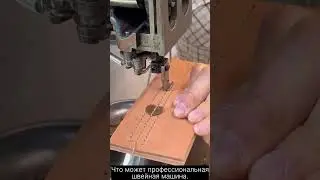 What can a professional sewing machine do